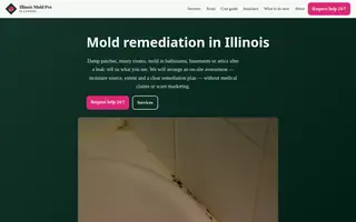 Home page of illinoismoldpro.com