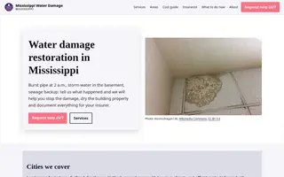 Home page of mississippiwaterdamage.com