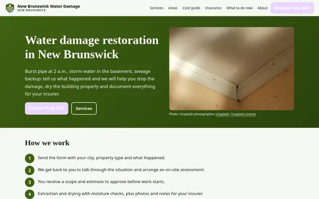 Home page of newbrunswickwaterdamage.com