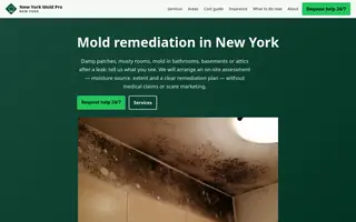 Home page of newyorkmoldpro.com