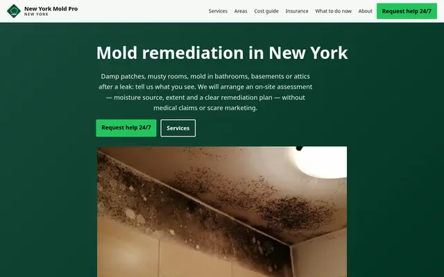 Home page of newyorkmoldpro.com
