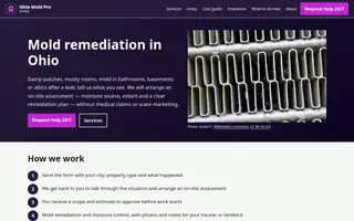 Home page of ohiomoldpro.com
