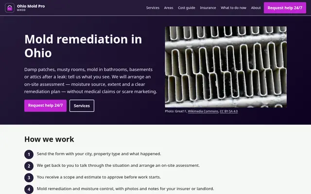 Home page of ohiomoldpro.com