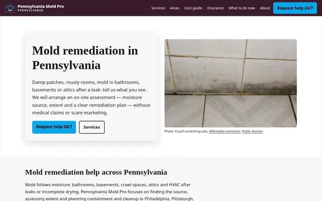 Home page of pennsylvaniamoldpro.com