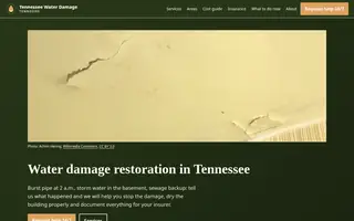 Home page of tennesseewaterdamage.com