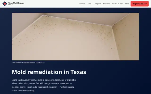 Home page of texasmoldexperts.com