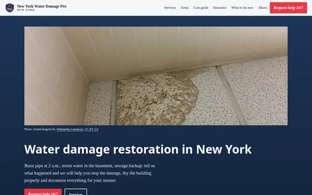 Home page of waterdamagepronewyork.com